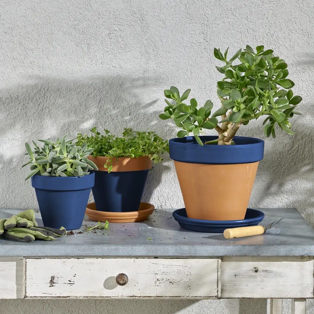 Аэрозольная эмаль Luxens сапфирово-синий для интерьера и улицы 520 мл 83237363 STLM-0039721 - Вид №5