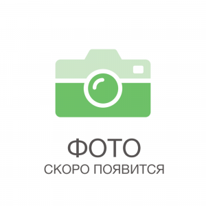 85326932 Душица обыкновенная Пончо ø15 h20 см