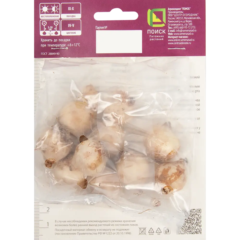 Мускари армянский Фэнтази Криэйшн, 10 шт 85205638 STLM-2125573 ПОИСК  - Вид №1