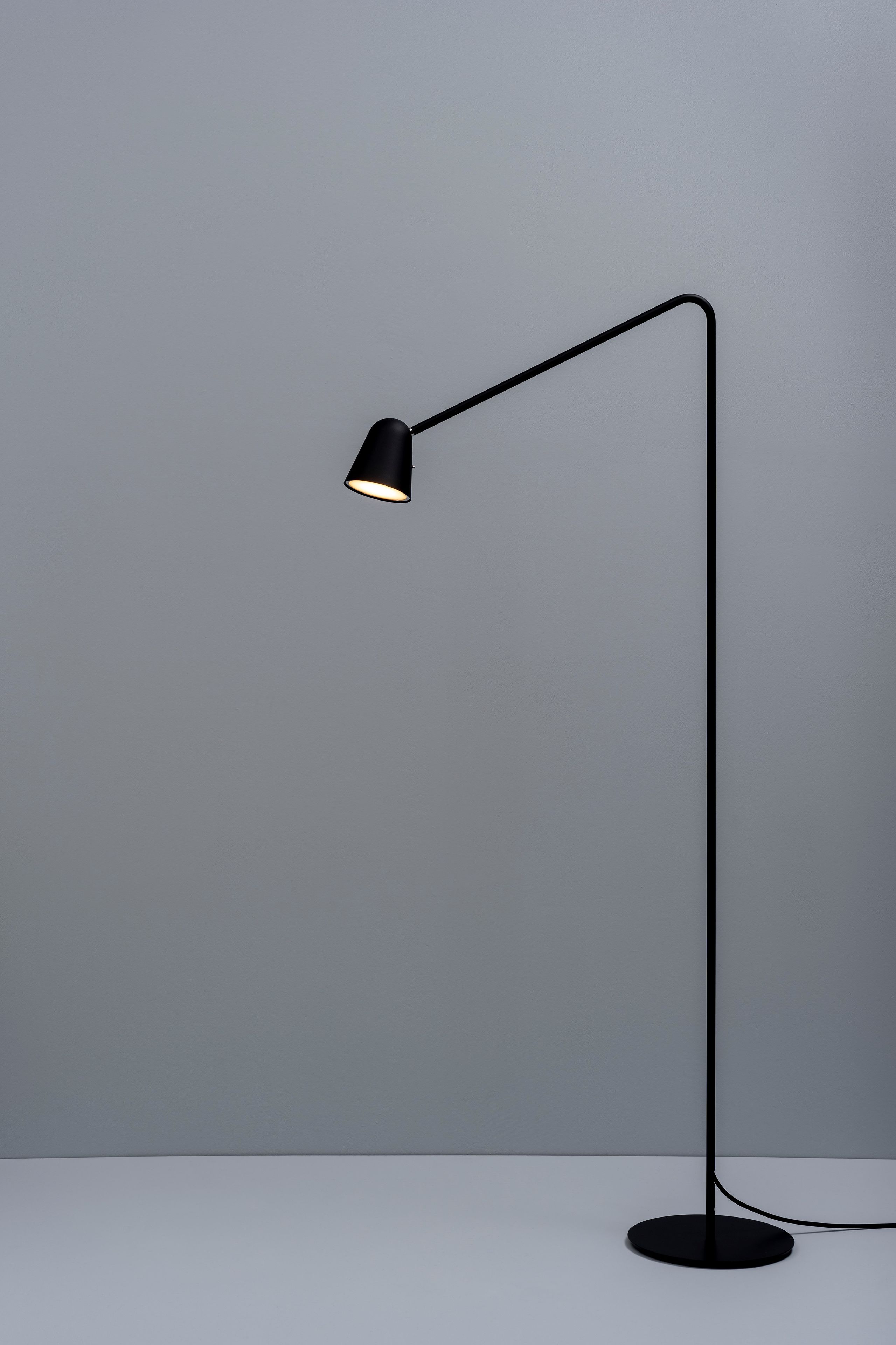 Окрашенный металлический торшер Formagenda Chaplin ARCH-00053856 - Вид №3