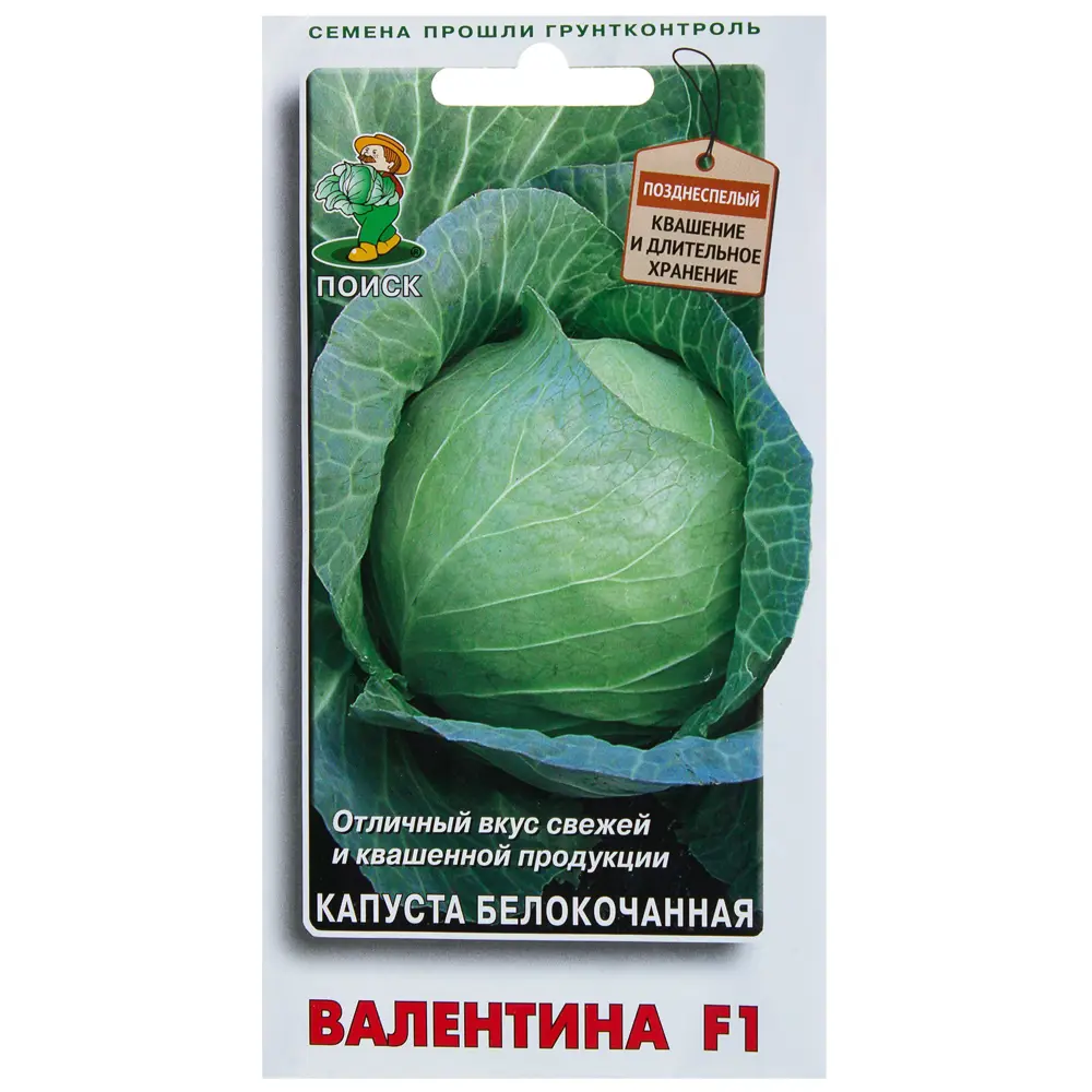 Семена Капуста белокочанная Валентина F1 Поиск STLM-2108767