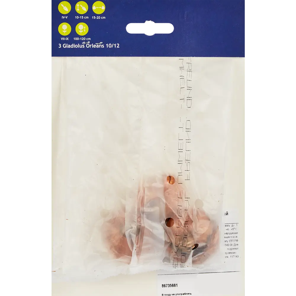 Гладиолус крупноцветковый Орлеанс 86735661 STLM-2169661 Santreyd  - Вид №1
