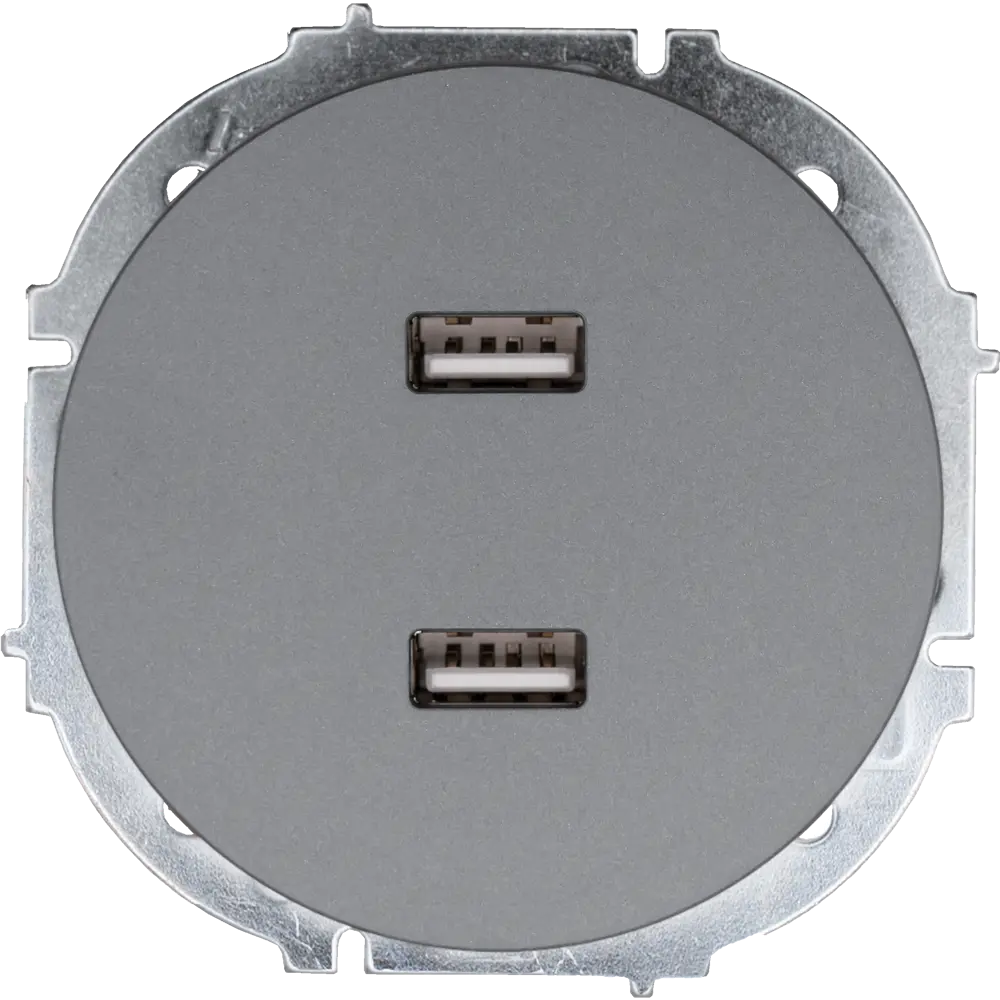 Розетка двойная USB встраиваемая Osen цвет серый LEZARD STLM-2137299 - Вид №1