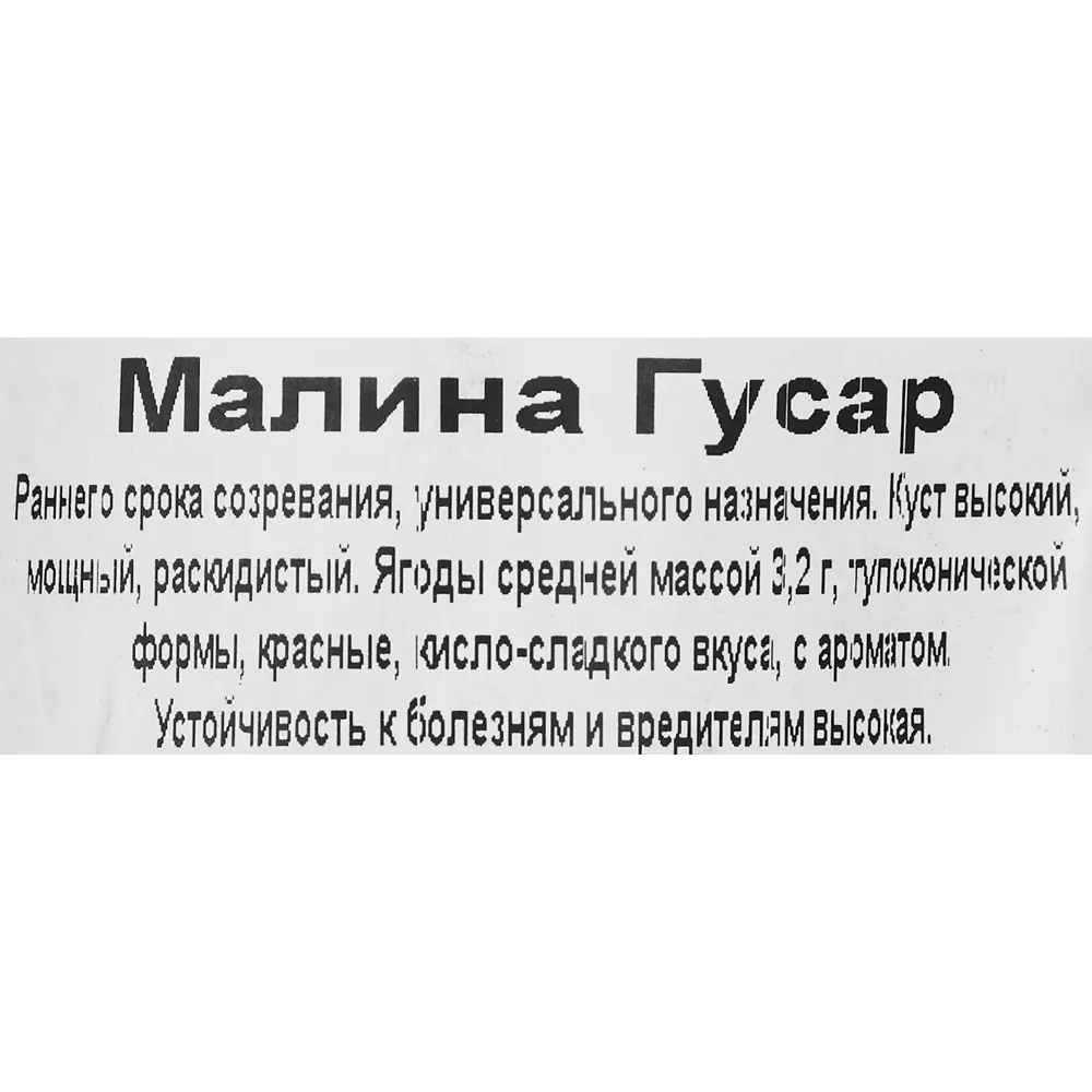 Малина Гусар красная пакет ø9 h40 см Santreyd STLM-2017010 - Вид №2