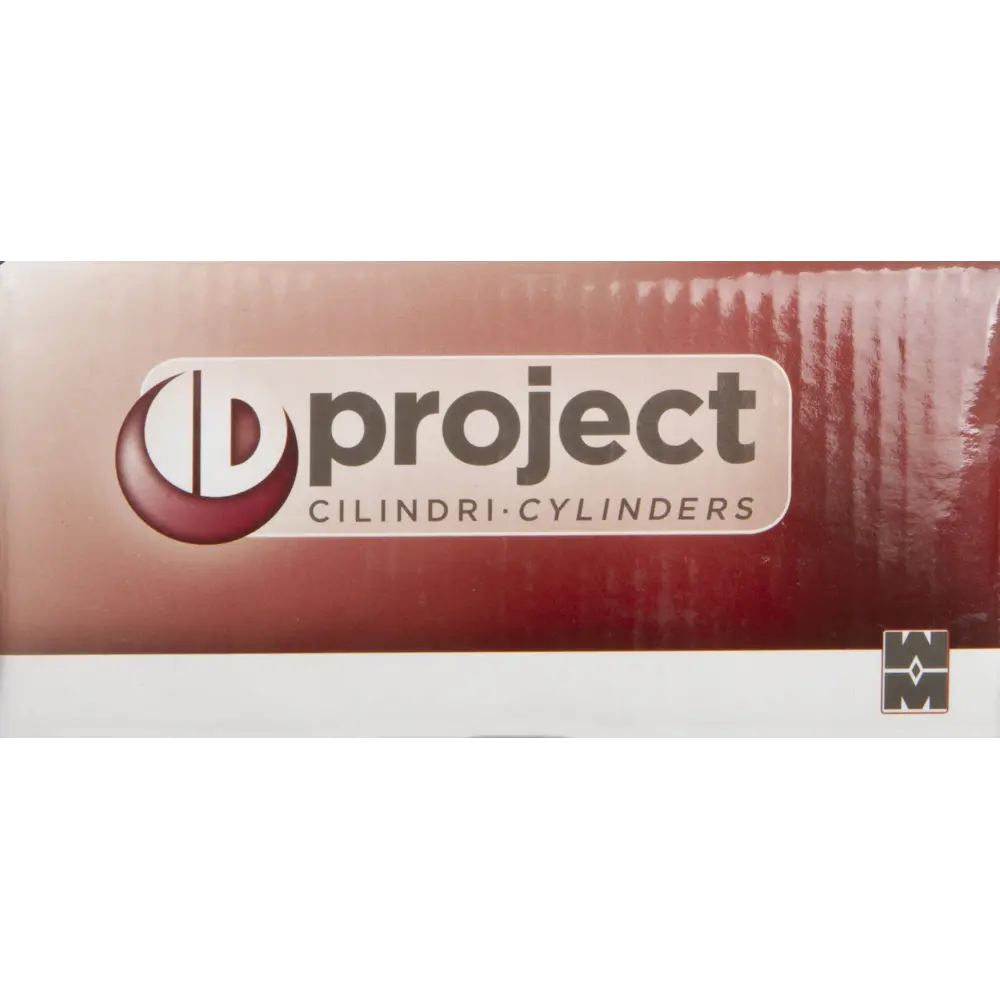 Цилиндр Mottura Project DPC1P5631 S3, 51x10x26 мм, ключ/шток, цвет никель, без вертушки STLM-2155402 - Вид №3