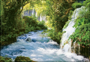 91214572 Фотообои № 224 Тропический водопад 294х201 см Collection Econom STLM-0520046 VOSTORG