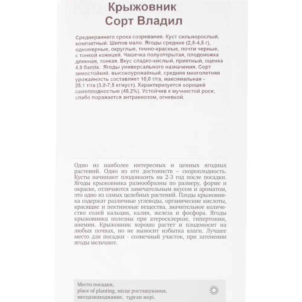 Крыжовник Владил 81951326 STLM-2170077 Santreyd  - Вид №2