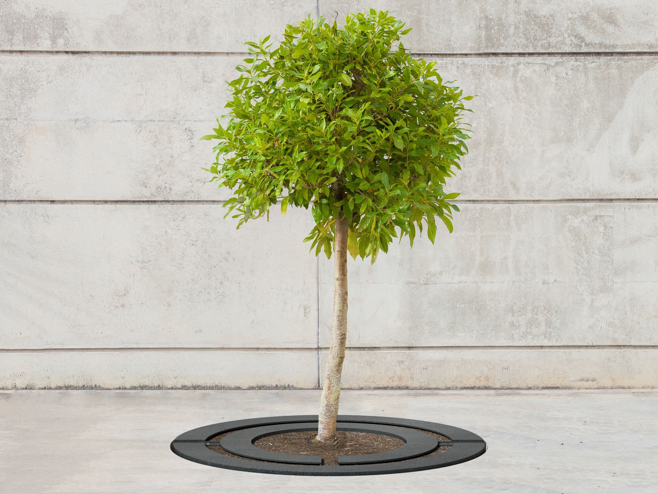 Металлическая решетка для деревьев SIT Сплит ARCH-00054130