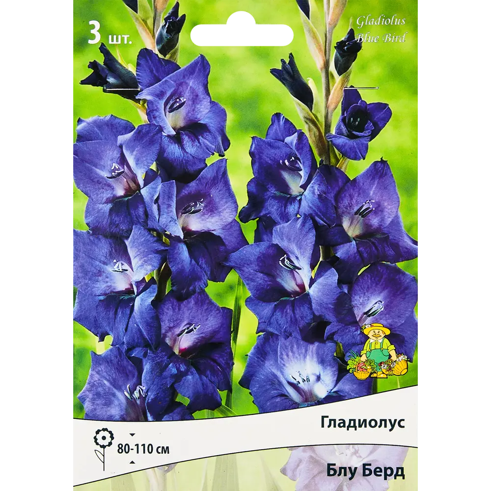 Гладиолус крупноцветковый Блу Берд, 3 шт ПОИСК STLM-2187025