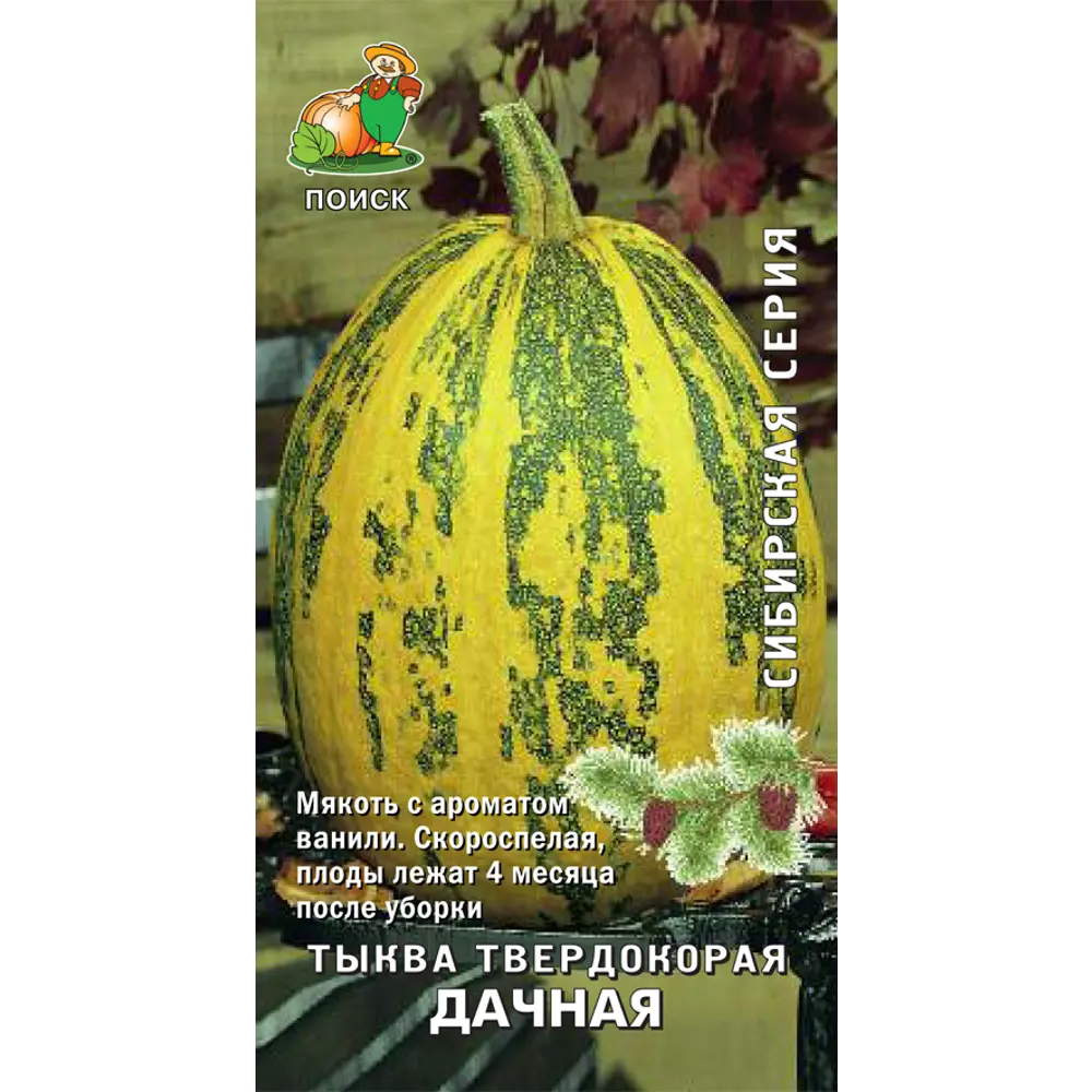 Семена Тыква твердокорая «Дачная» 83124477 STLM-2137330 ПОИСК 