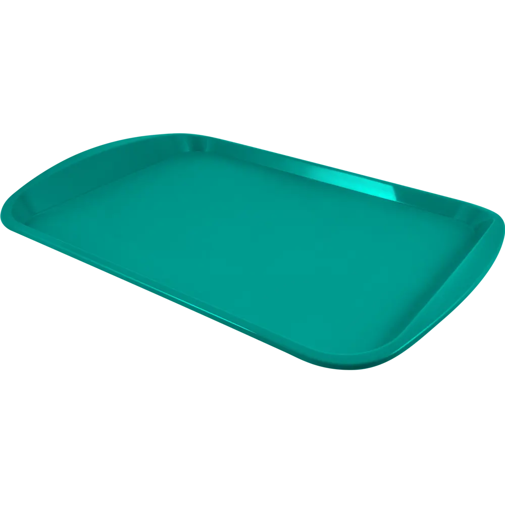 Поднос прямоугольный Delinia 36.5x25.5 см полипропилен цвет изумрудный STLM-2086439 - Вид №1
