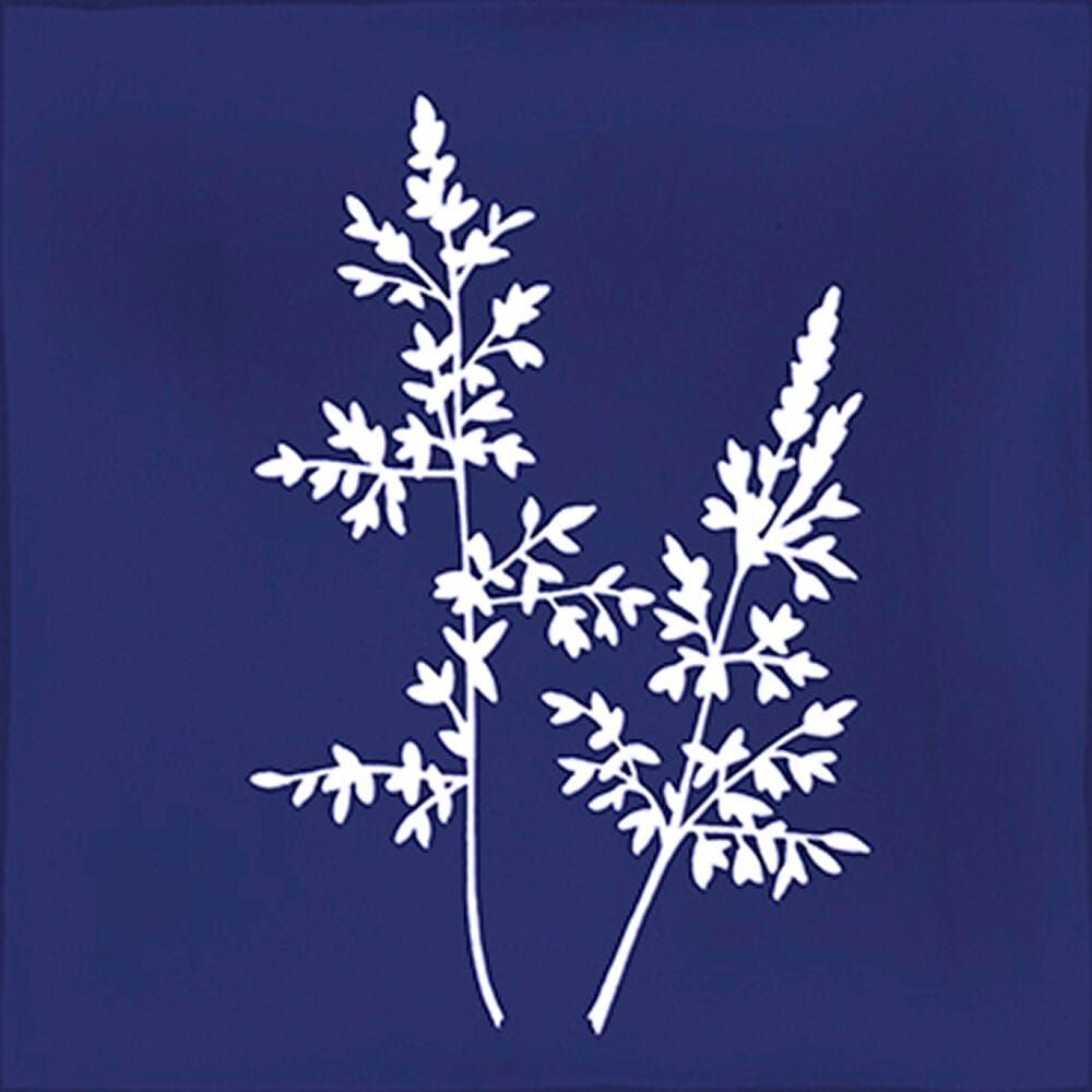 Керамическое покрытие из белой пасты с эффектом запекания VIVES ноль ARCH-00127617 - Вид №52