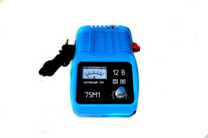 18690258 Зарядное устройство ЗУ-75М-1 00-00000271 Электролидер
