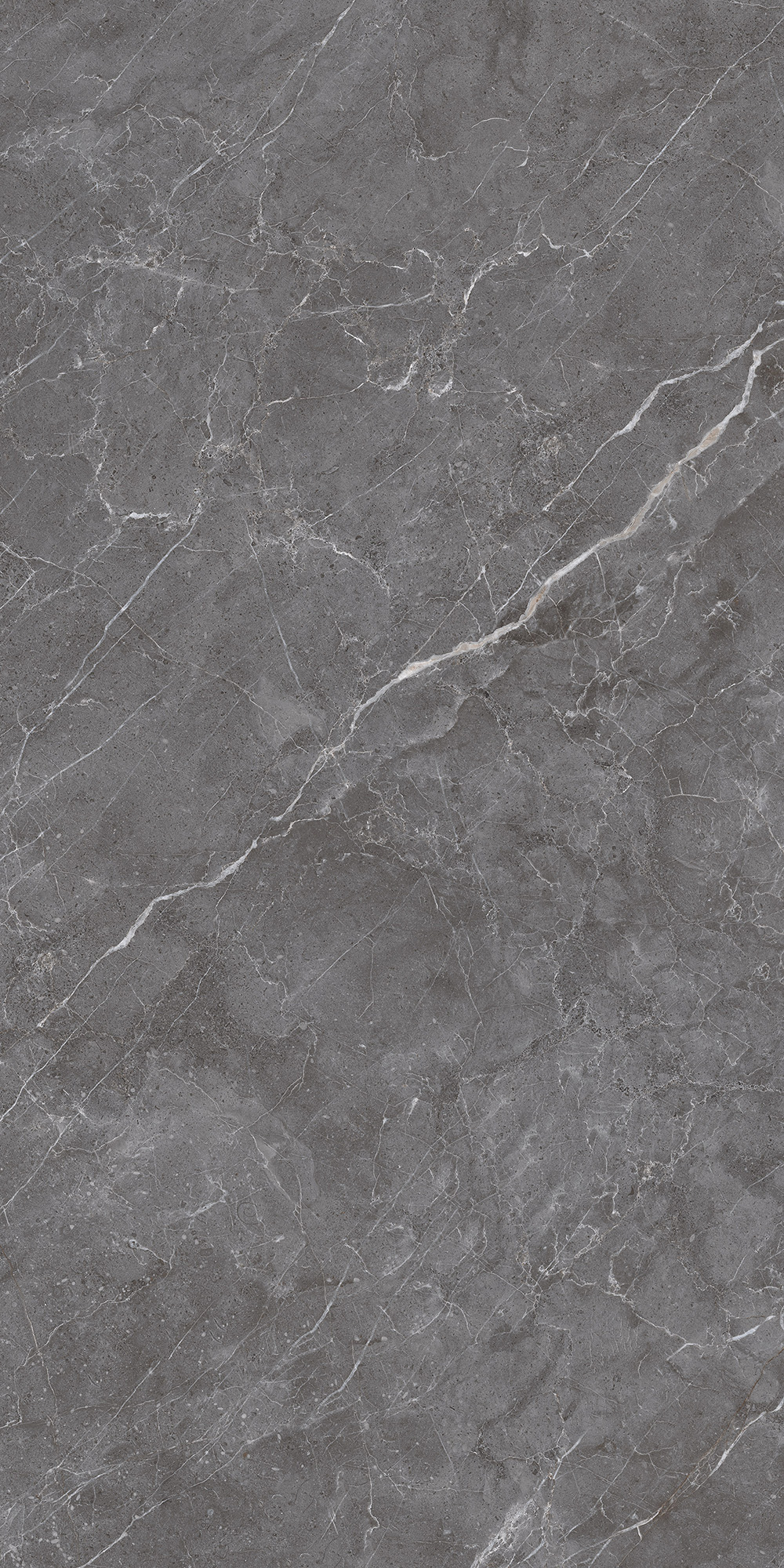Керамогранит ESPERIA GRIGIO LAPPATO 60х120 Arcadia Ceramica CL4003-A - Вид №8