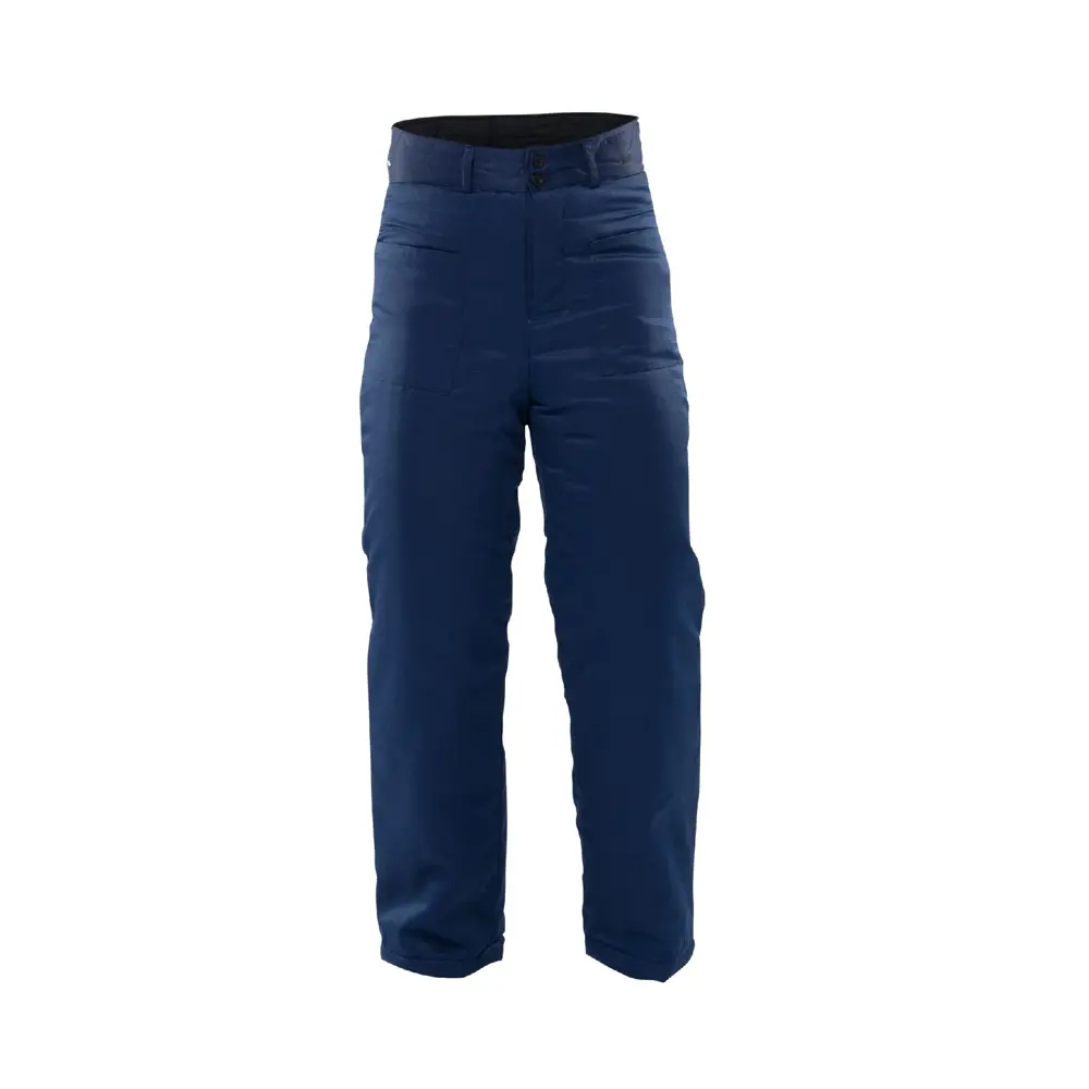 Santreyd Утепленные рабочие брюки Зимовка для холодного сезона 89329219 STLM-1541571