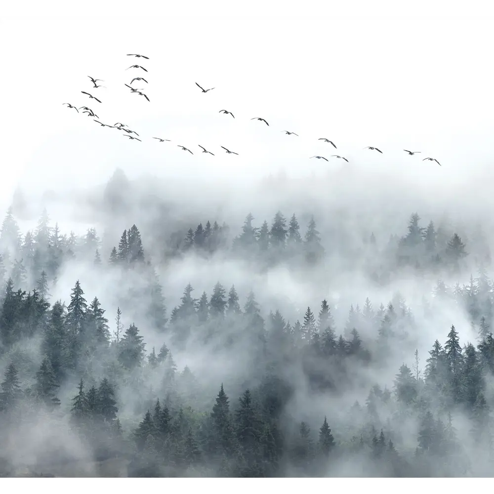 Фотообои «‎В густом тумане»‎ 3D флизелиновые 300x270 см L13-125 FBRUSH 3D FLIZART STLM-2150138