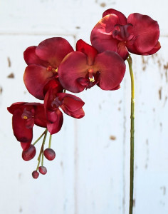 2368 660 a2 Искусственная орхидея Phalaenopsis, 75 см, осенне-коричневая H-andreas