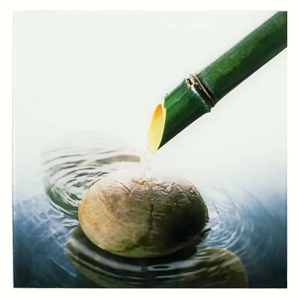 Стекло для светильника Dafne Bambou WL-015-B INSPIRE STLM-2095079