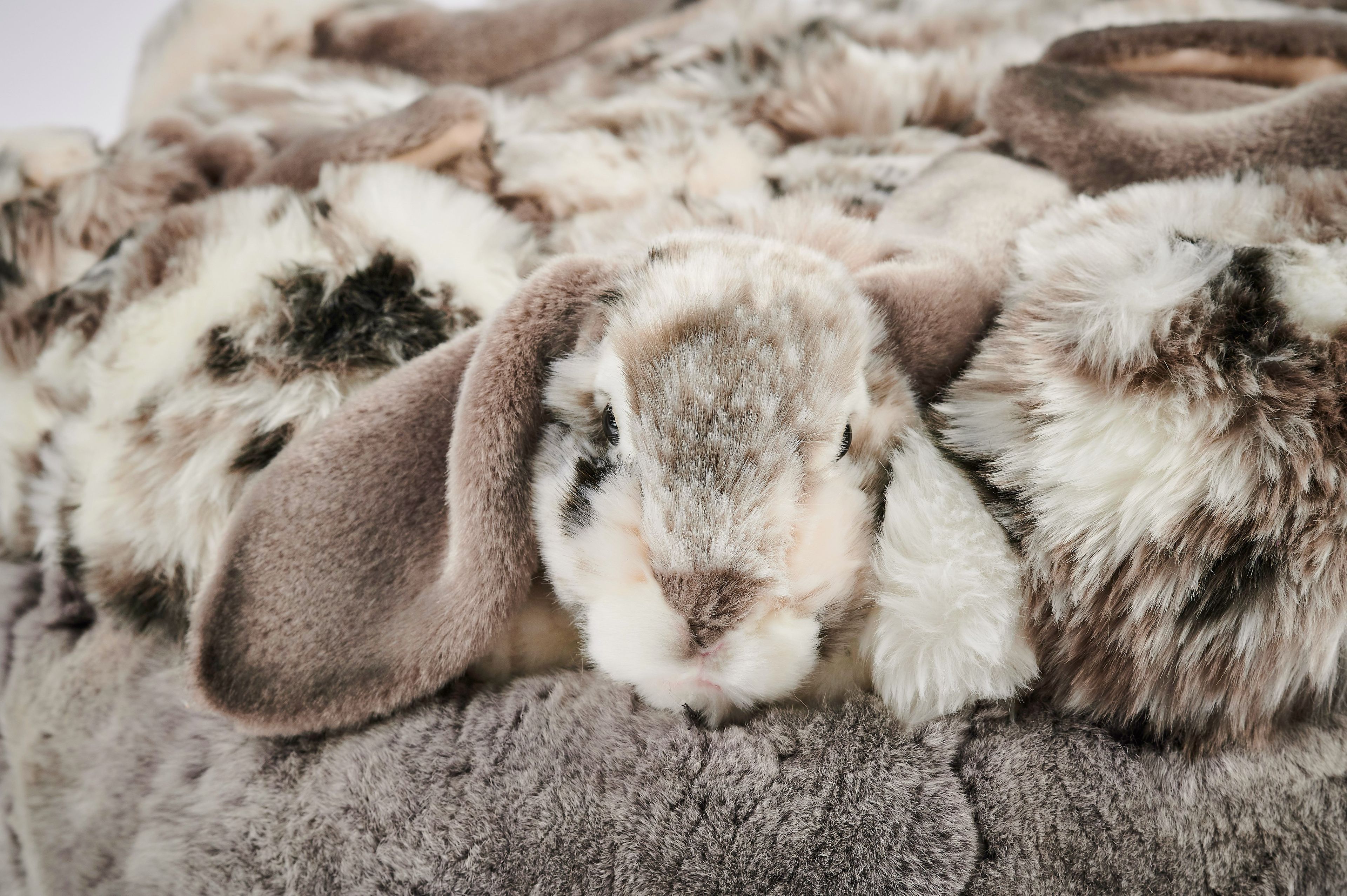 Полиэстер круглый пуф APCOLLECTION REX ARCH-00031032 - Вид №6