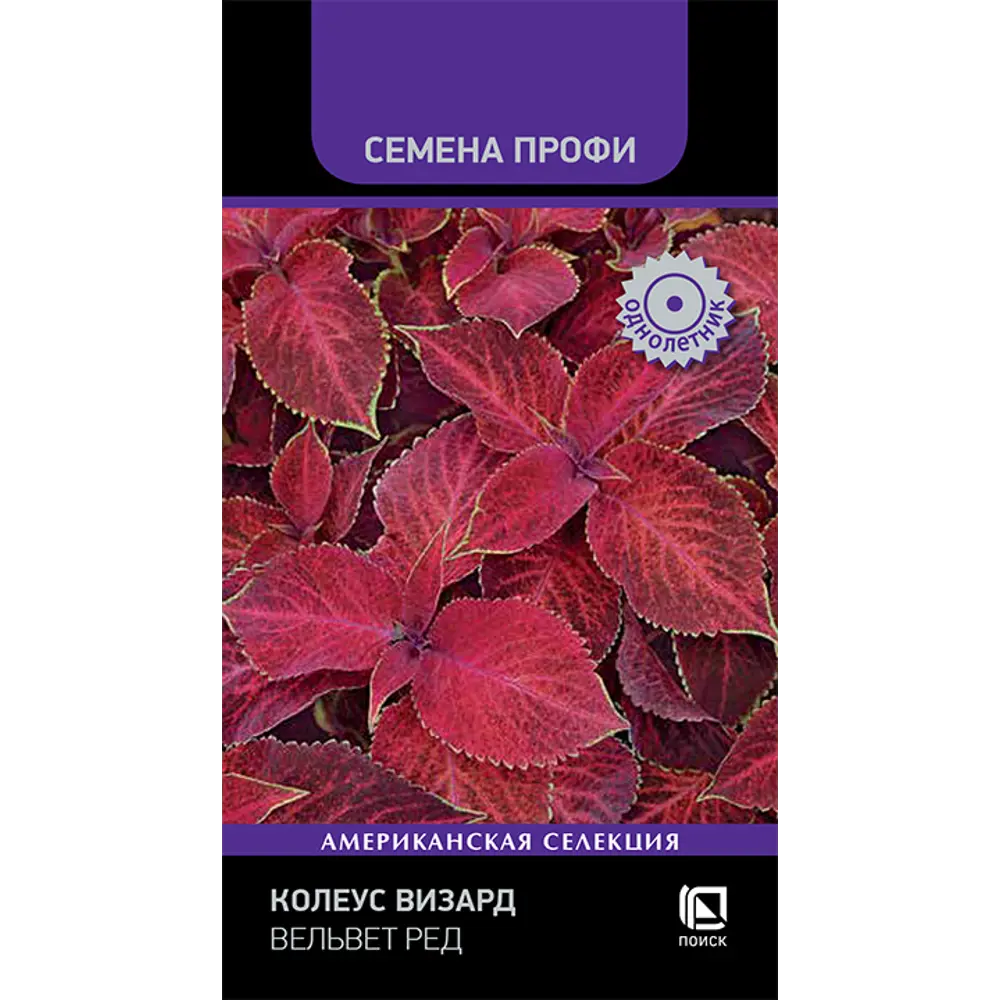 ПОИСК Колеус Визард Вельвет Ред - декоративный с пурпурно-красными листьями 89401226 STLM-1570388
