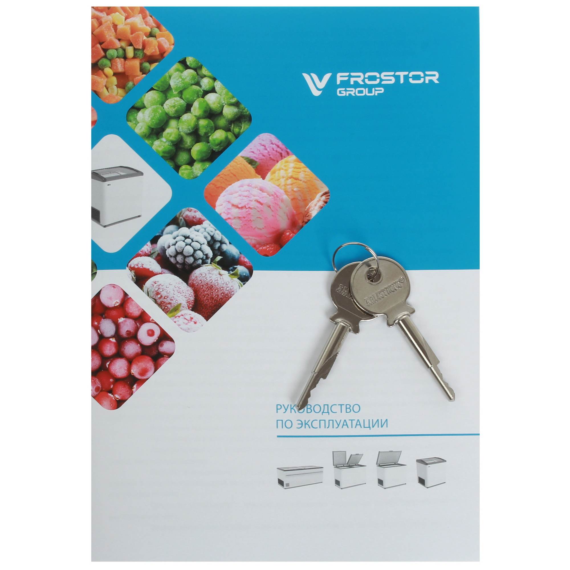 1109646 Морозильный ларь Frostor Gellar FG 400 С белый, красный STDN-0072000 - Вид №7