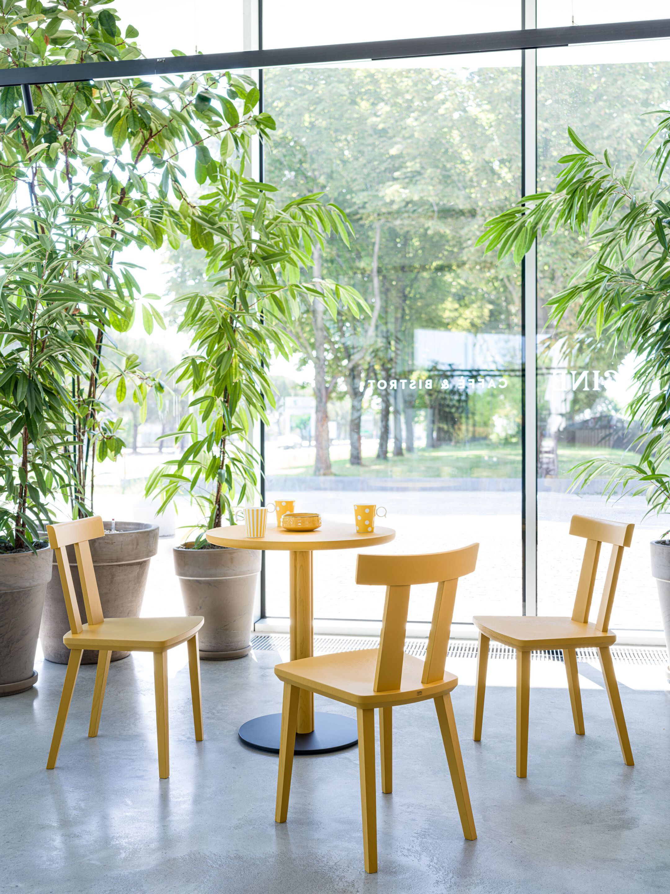 Круглый стол из ясеня SIPA One ARCH-00107329 - Вид №5