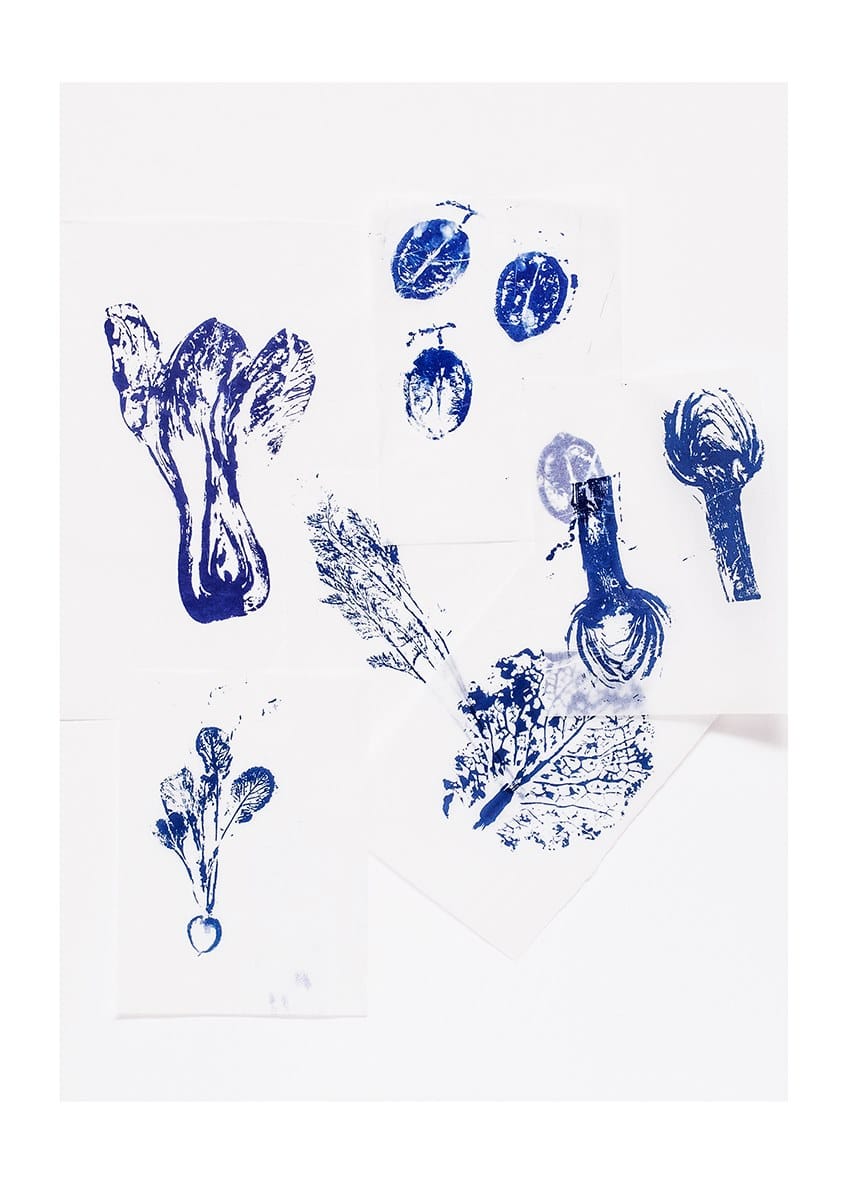 Фарфоровая десертная тарелка Non Sans Raison Végétal ARCH-00026926 - Вид №2