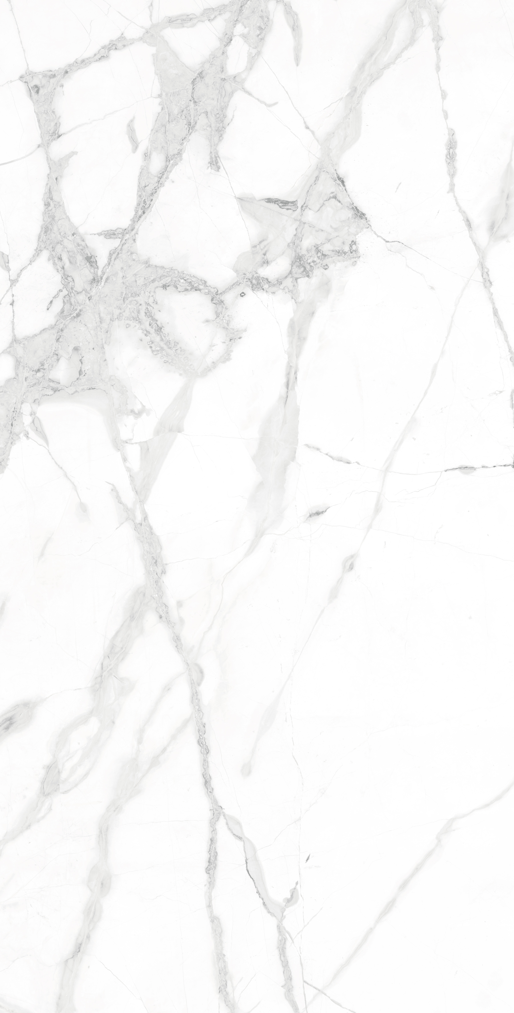 Керамогранит DIVERSO WHITE 60х120 Arcadia Ceramica CR4023-A  - Вид №2