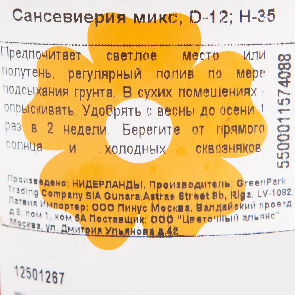Сансевиерия микс 12х35 см 12501267 STLM-2167760 Santreyd  - Вид №2
