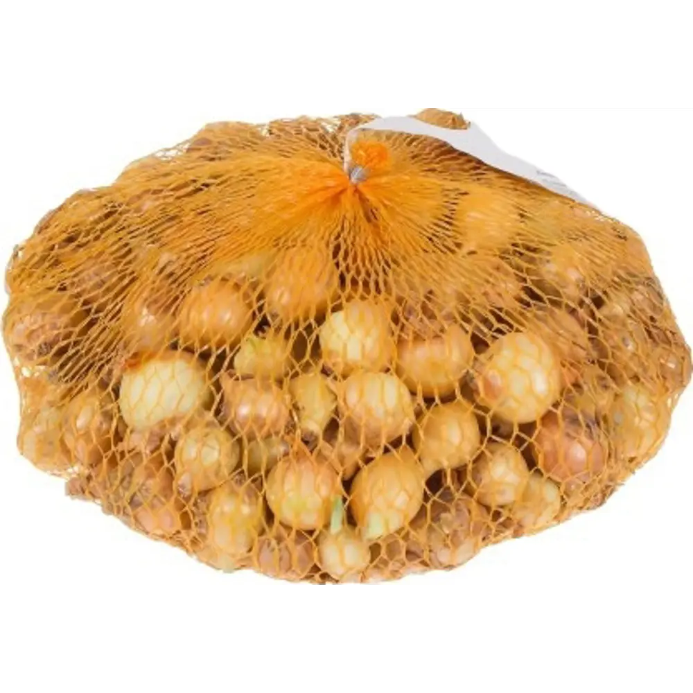 Лук-севок «Штуттгартер», диаметр луковицы 21-24 мм, 1 кг Santreyd STLM-2099215