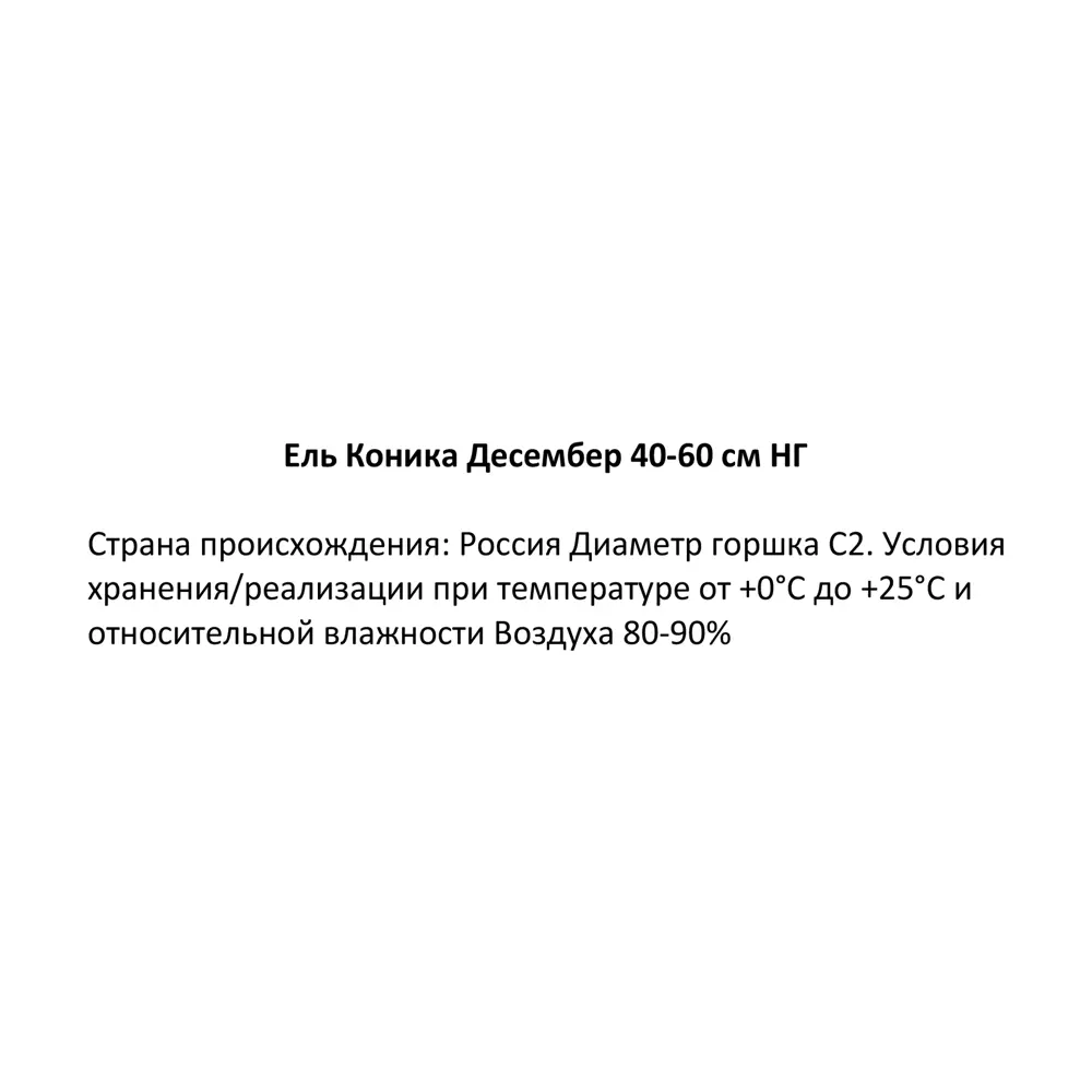 Ель Коника Десембер С2 h40-60 см 86170862 STLM-2192788 Santreyd  - Вид №1