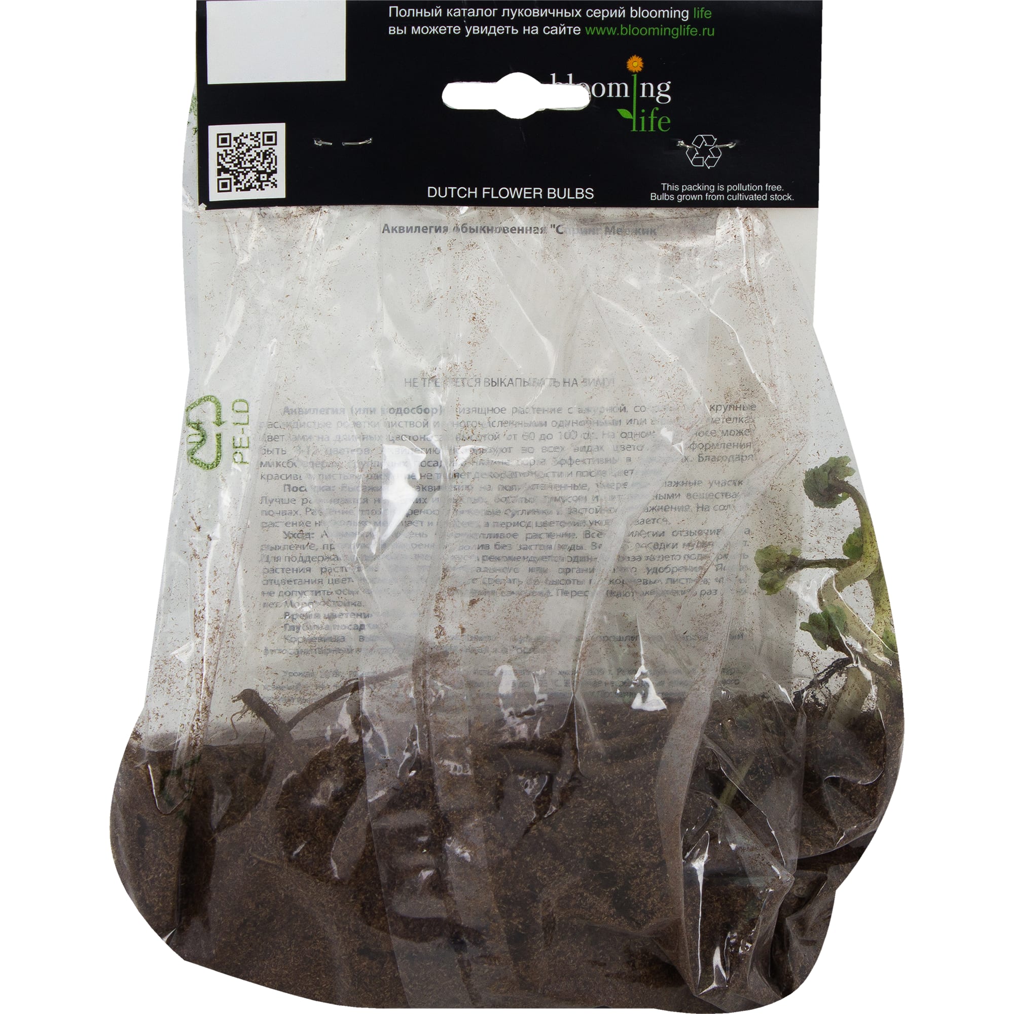 13498282 Аквилегия Спринг Меджик I Santreyd  - Вид №1