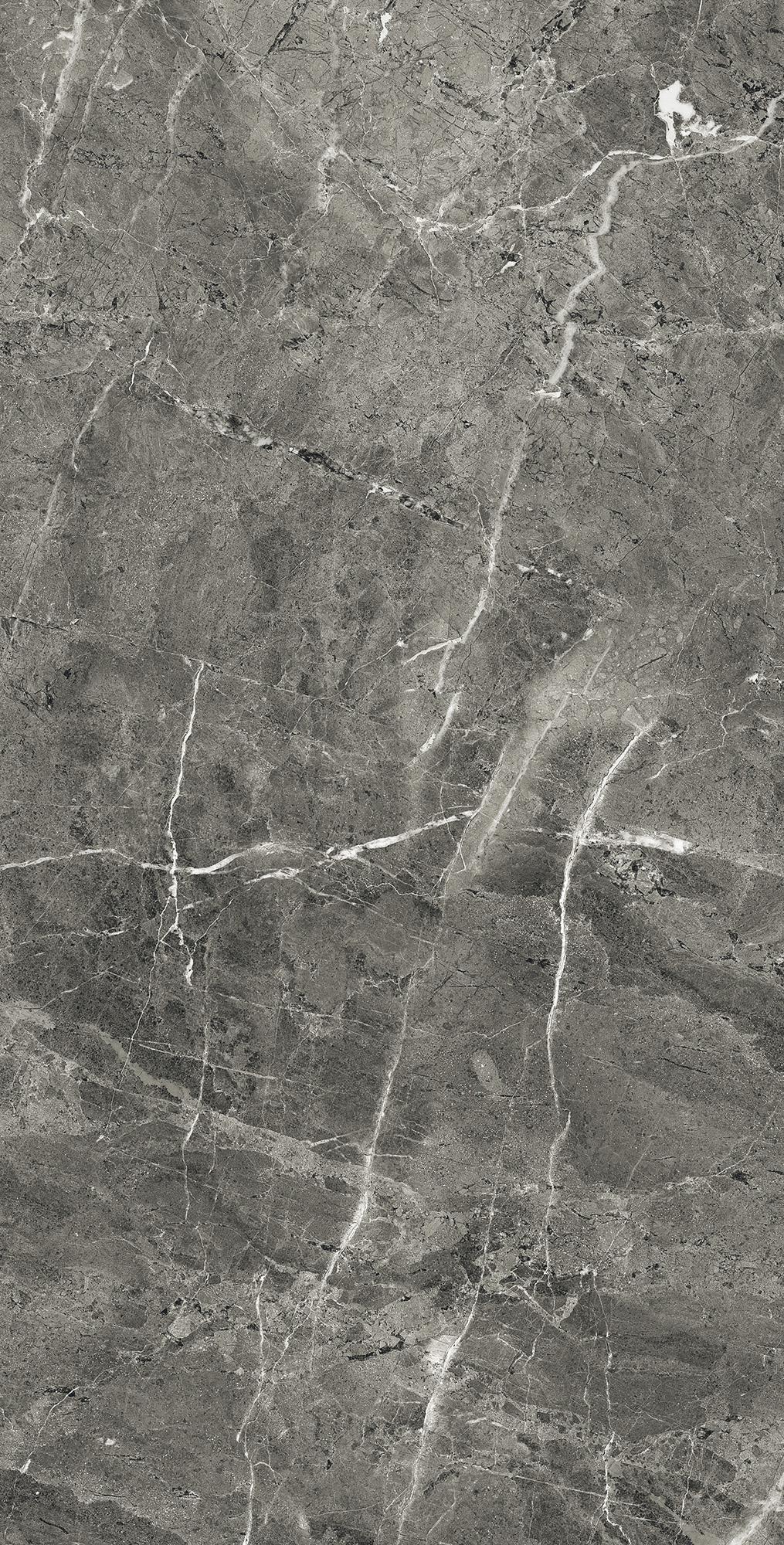 Керамогранит FLORENCIA GREY 60х120 Arcadia Ceramica FP1028-A - Вид №4