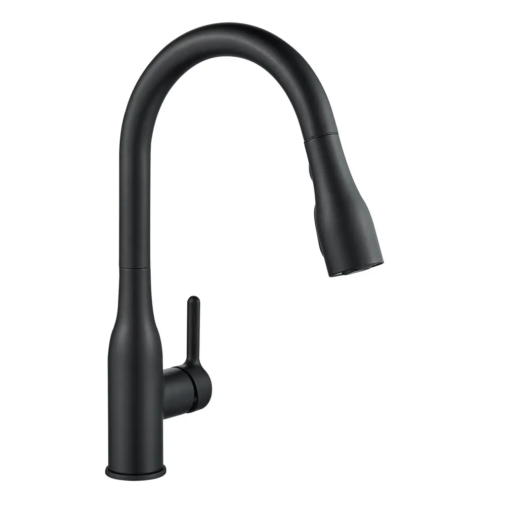 Кухонный смеситель DELINIA Fanny в матово-черном исполнении 84752045 STLM-0878106 - Вид №1