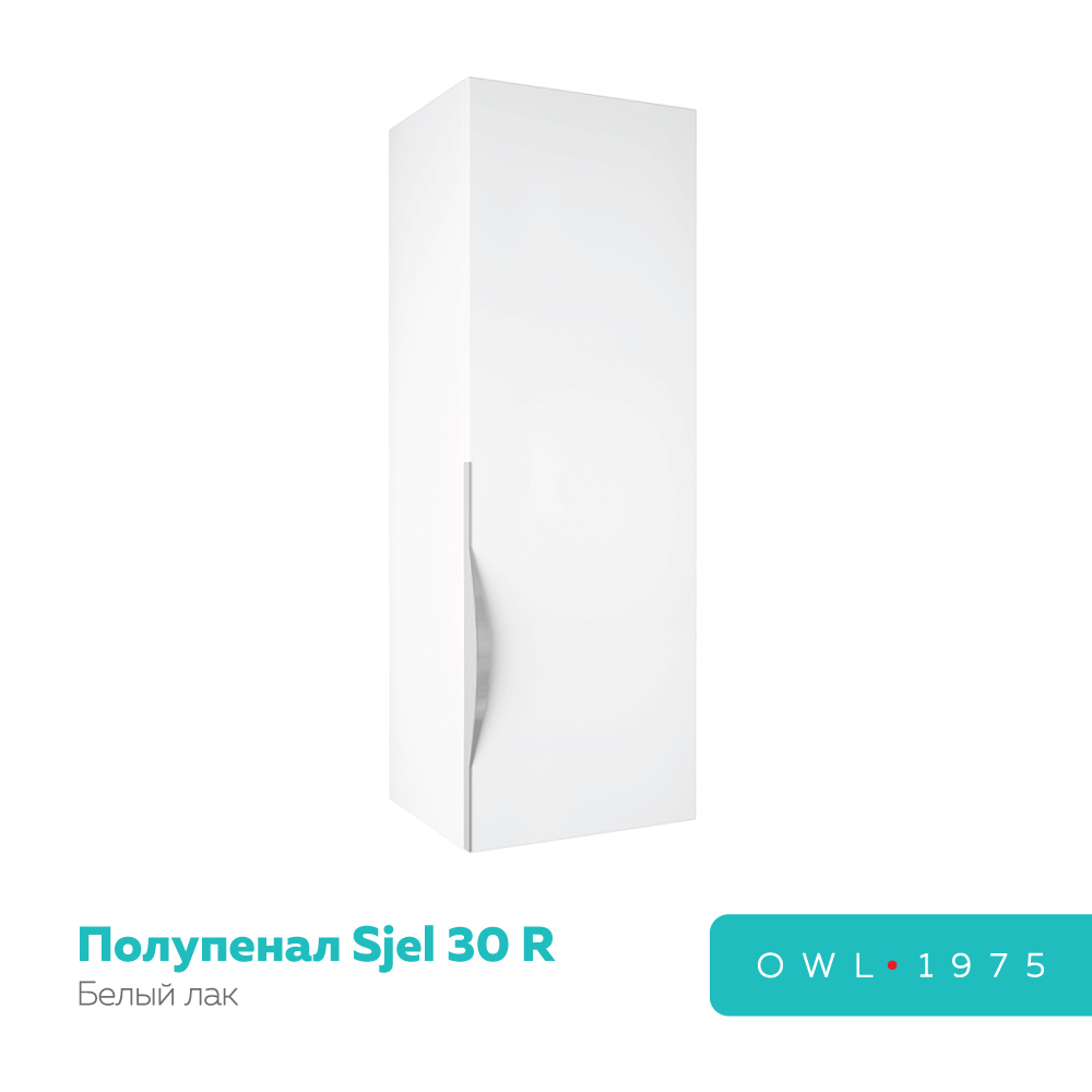 90983737 Шкаф для ванной подвесной Owl Sjel 1975 OW25.06.00 30х100см цвет белый Sjel (Съёль) STLM-0430885 OWL 1975