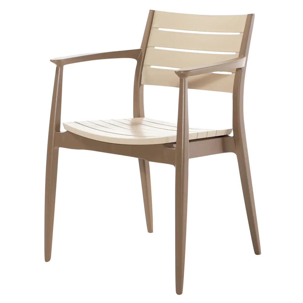 Кресло Novussi Regnum 82x58 см пластик цвет кофейный/капучино Santreyd STLM-2147547 - Вид №1