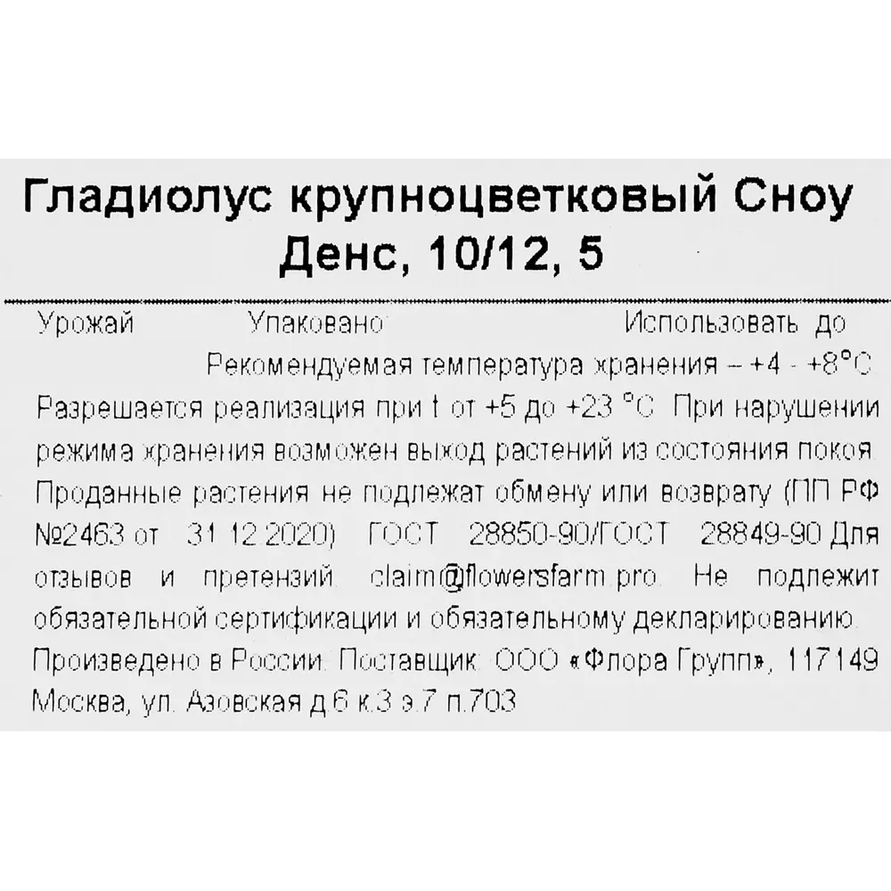 Гладиолус крупноцветковый Сноу Денс 86735677 STLM-2032478 Santreyd  - Вид №2