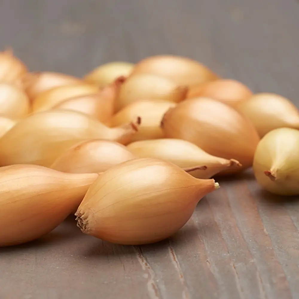 Лук-севок Шекспир (Озимый лук) 450 г ПРЕСТИЖ СЕМЕНА STLM-2034776 - Вид №2