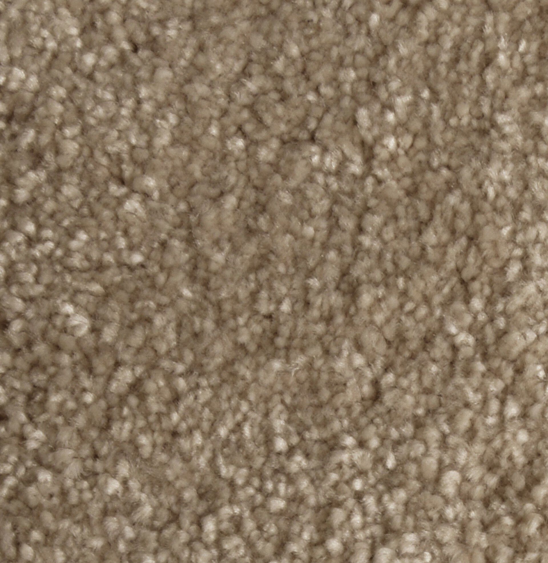 Ковер / Ковер Ademi Резка по запросу - от стены до стены (внутри помещений) ARCH-00051360 - Вид №5