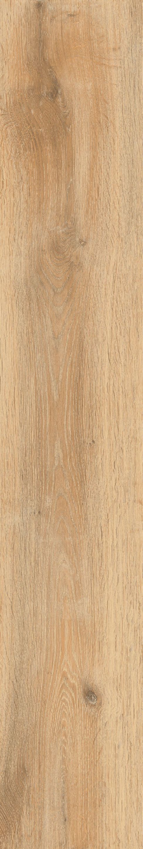 Пол из глазурованной керамогранита под дерево Ceramica Rondine CORTINA ARCH-00069910 - Вид №13