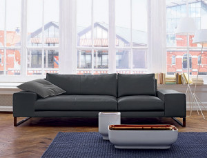 Диван EXCLUSIF LIGNE ROSET 10002966