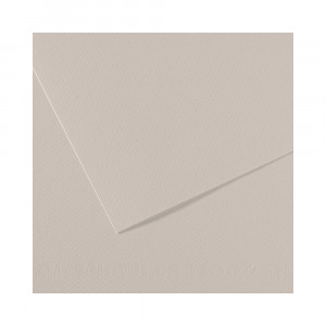 200321357 Бумага для пастели Mi-Teintes 160 г/м2 75 х 110 см лист №120 жемчужно-серый Canson