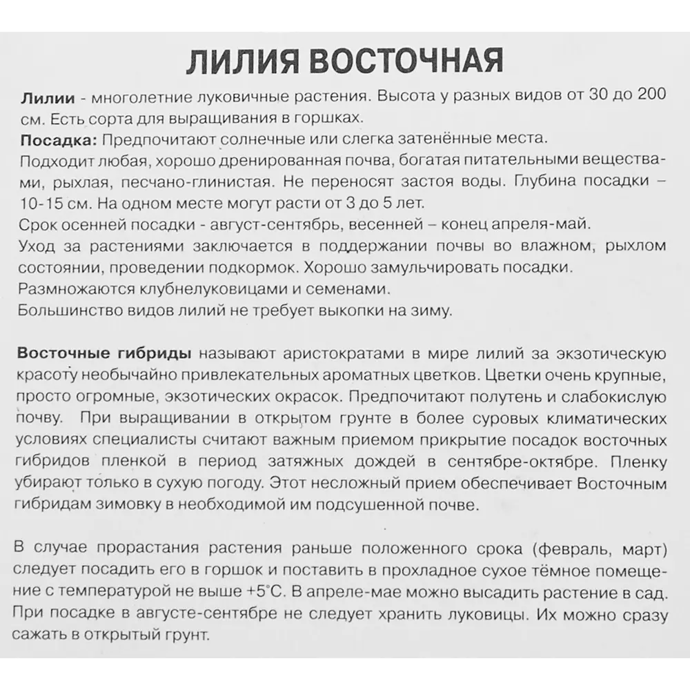 Лилия восточная махровая Дабл Фэнтази 86410101 STLM-2098990 ПОИСК  - Вид №2