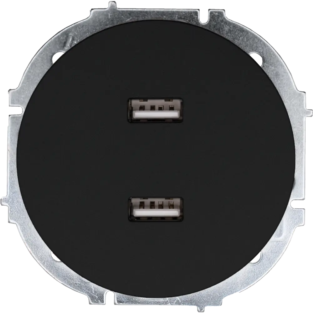Розетка двойная USB встраиваемая Osen цвет черный LEZARD STLM-2056741 - Вид №1