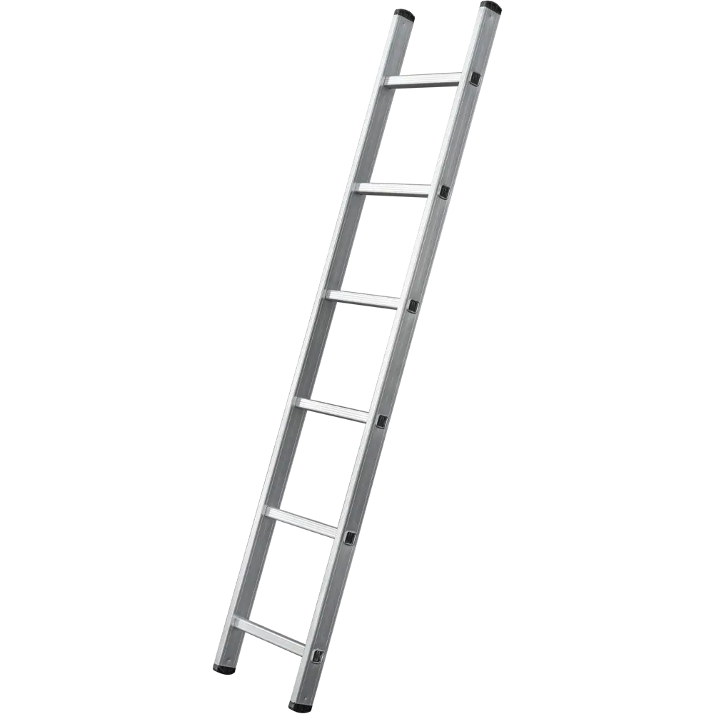 Лестница приставная 1-секционная DILWIS 6 ступеней максимальная нагрузка 150 кг STLM-2090381 - Вид №2