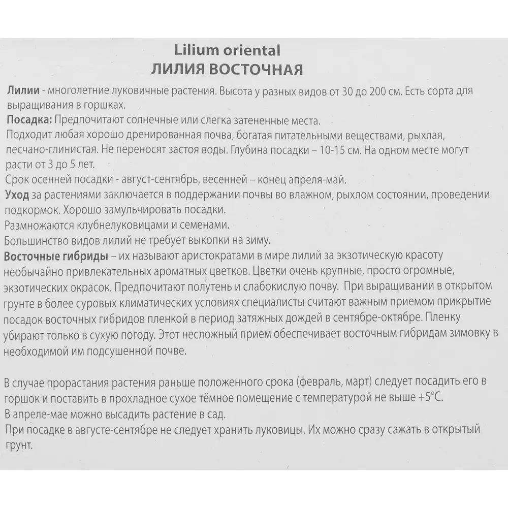 Лилия восточная Капитан Триколор 85205774 STLM-2002642 ПОИСК  - Вид №2