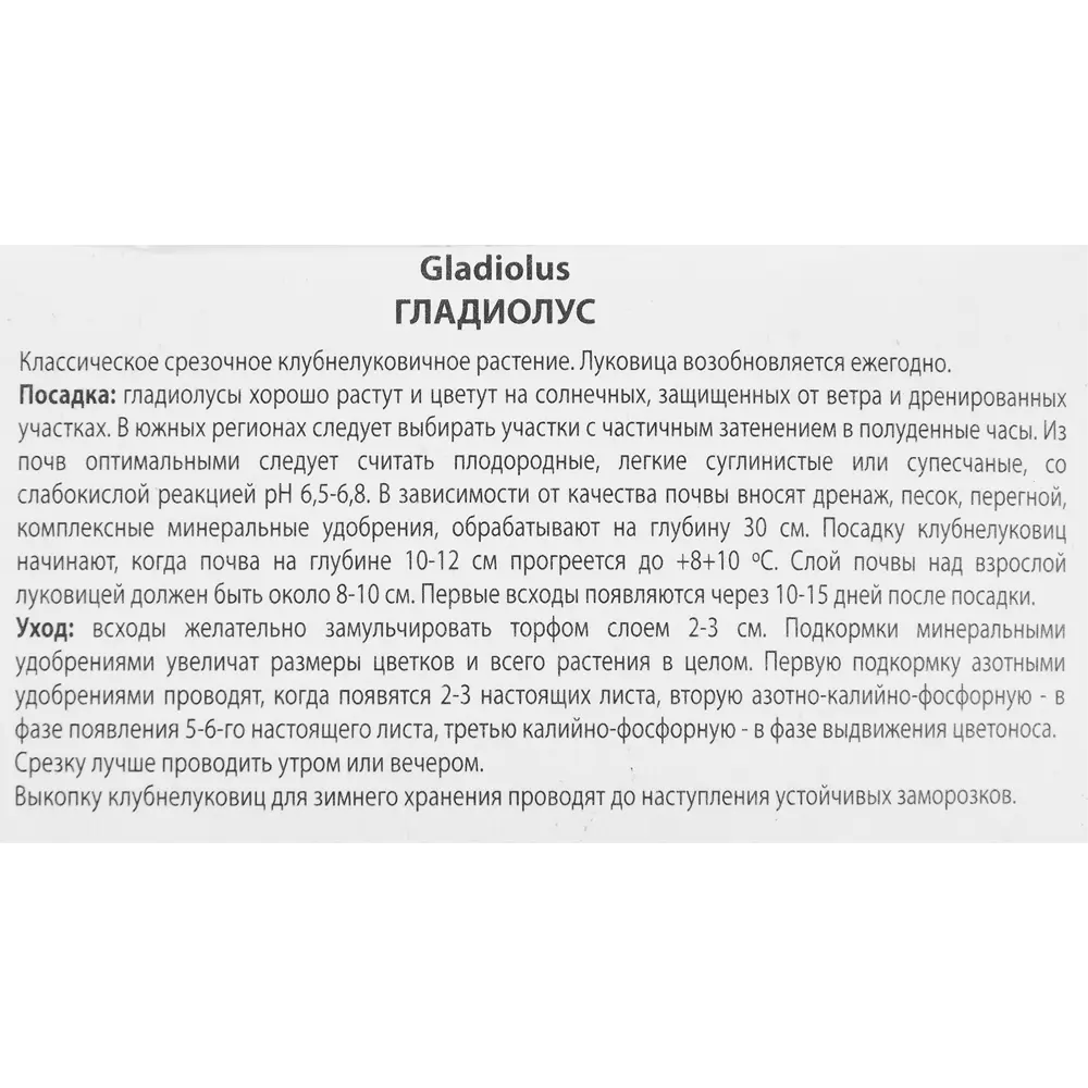 Гладиолус крупноцветковый Фиделио 3 шт. 83588517 STLM-2061859 ПОИСК  - Вид №2