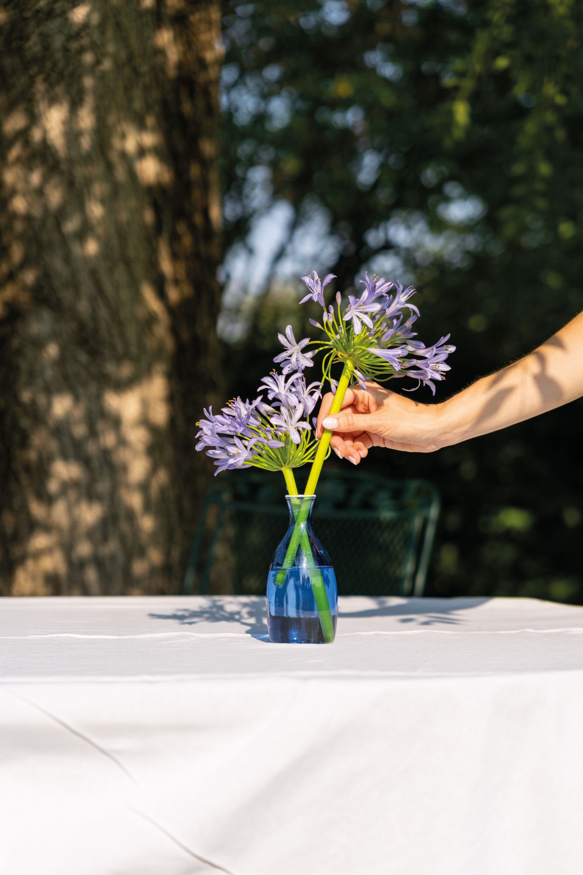 ВАЗа ручной работы из боросиликатного стекла Zafferano UN FIORE ARCH-00072102 - Вид №13