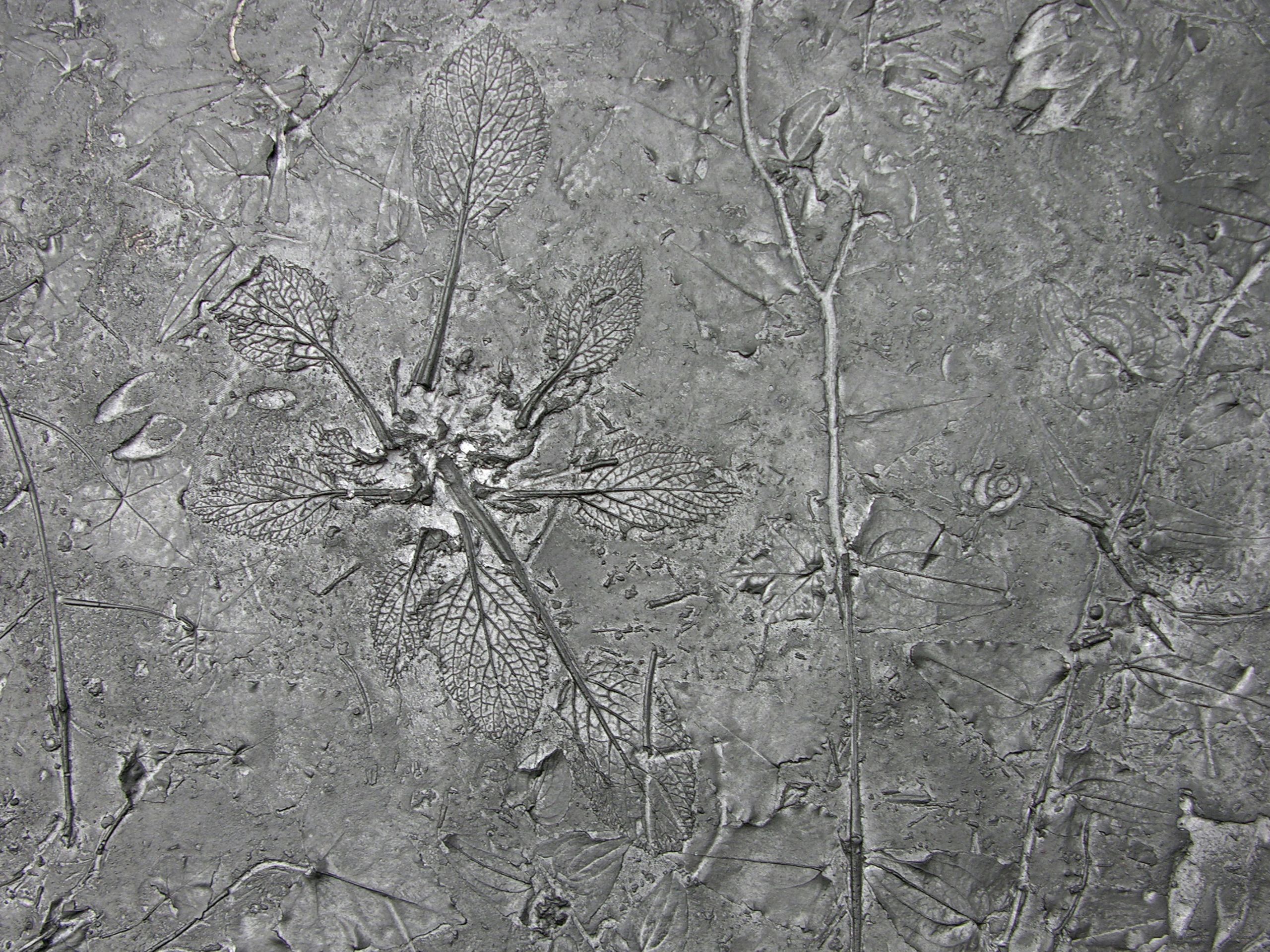 Железный шкаф с распашными дверями ICI ET LÀ Бетон ARCH-00079379 - Вид №3