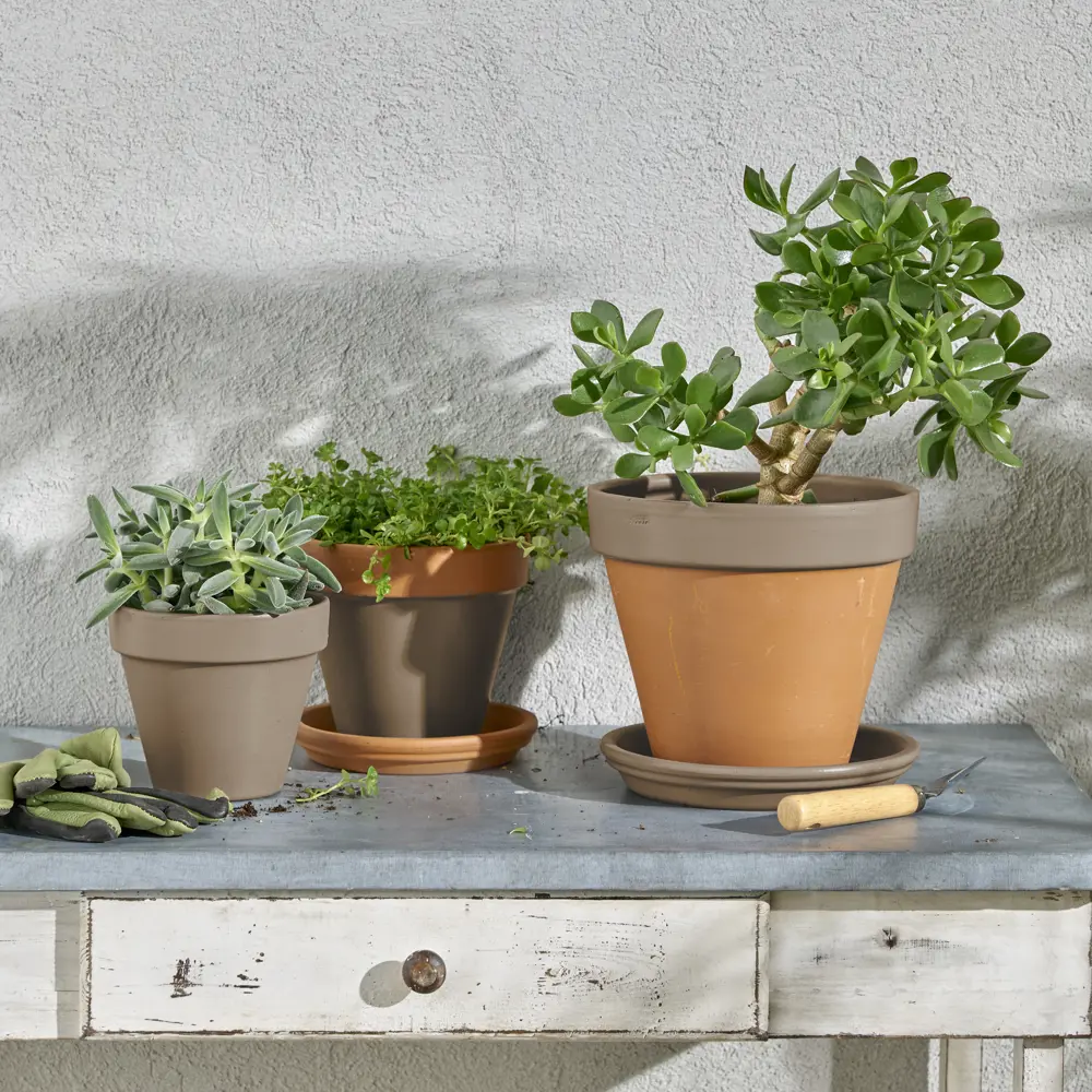 Аэрозольная эмаль Luxens для интерьера и экстерьера - светло-коричневый глянец 83237403 STLM-0039757 - Вид №5